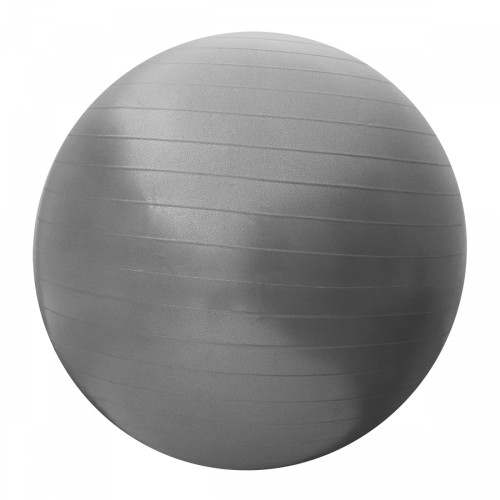 Купить Фитбол  SportVida 65 cm Anti-Burst SV-HK0288 Grey в Киеве - фото №1